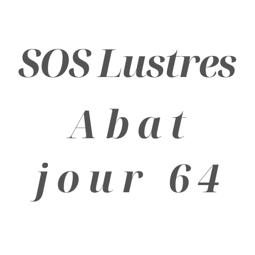 Abat jour 64 et SOS Lustres